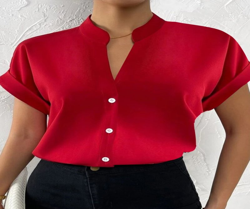 Simple V-neck Women's Short Sleeves Blouses